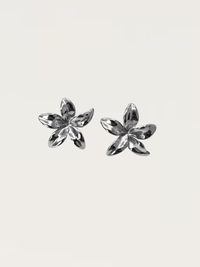 Argent