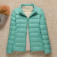 Turquoise Stand Collar