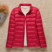 Red Stand Collar