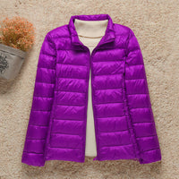 Purple Stand Collar