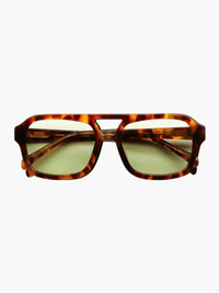 tortoise / green